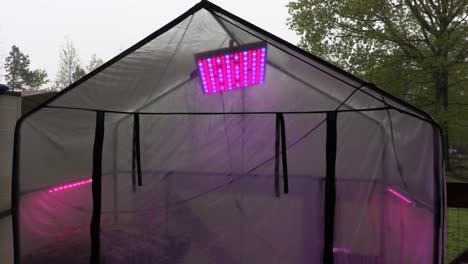 Wide-Shot-of-Full-Spectrum-Led-Grow-Lights-in-a-Small-Greenhouse-on-a-Gloomy-Day