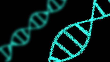 2d animation of two dna composed of particles on a black background. 60fps. the object is oblique. the focus is on the front.