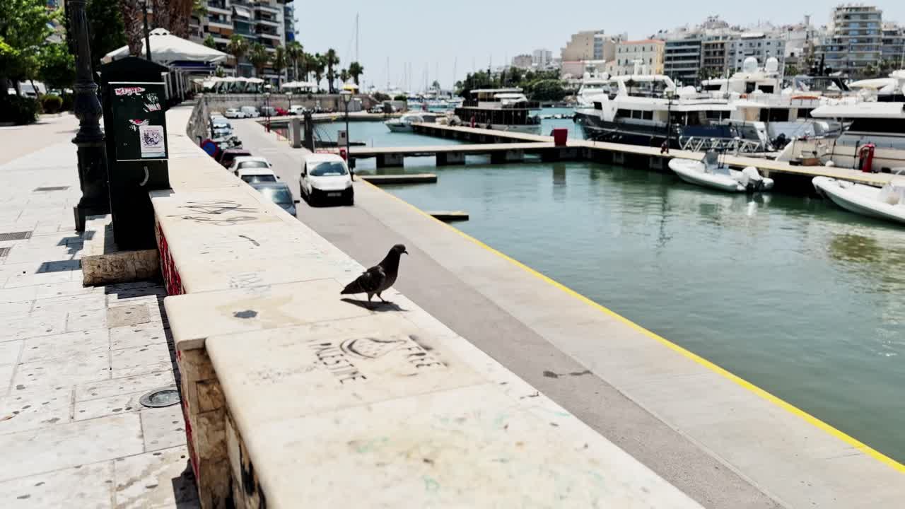 Athens Marina View with Luxury Yachts