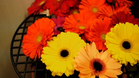 Red-and-yellow-flower-in-shop