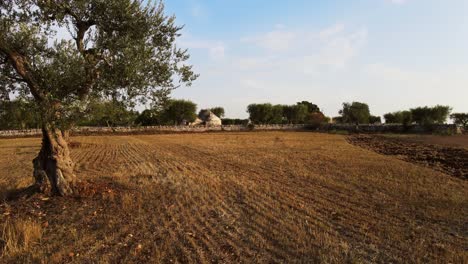 aerial panoramic view over traditional trulli stone unique buildings, in italy