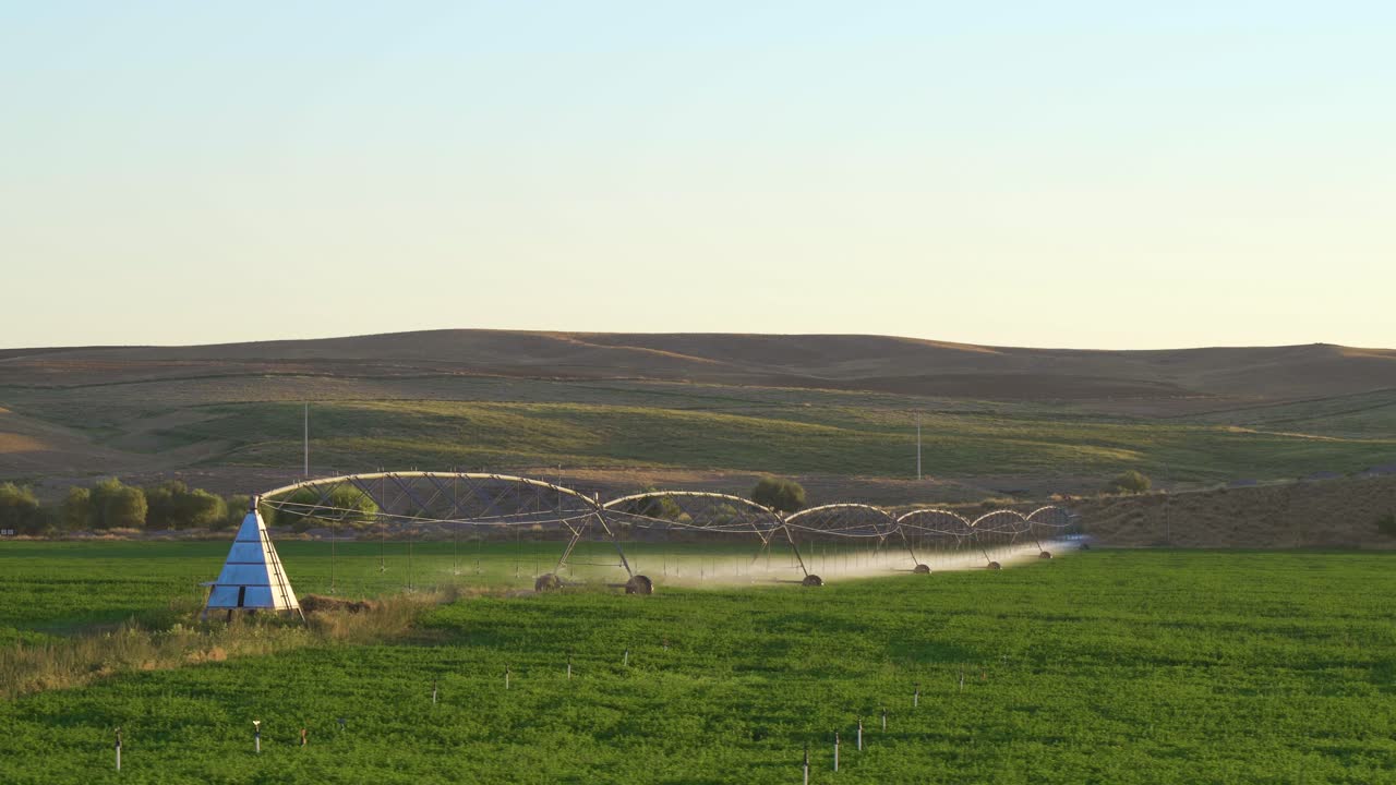 el sistema de riego de pivote central se mueve lentamente en el campo verde.