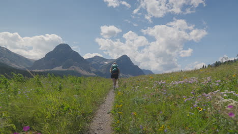 Caucasian-Blonde-Girl-with-Hiking-Poles-Walking-on-Meadow-Trail-in-Glacier-National-Park