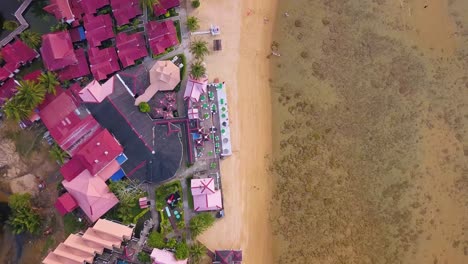 bird-eye's view aerial shot of kampung paya beach resort hotel on tioman island, malaysia