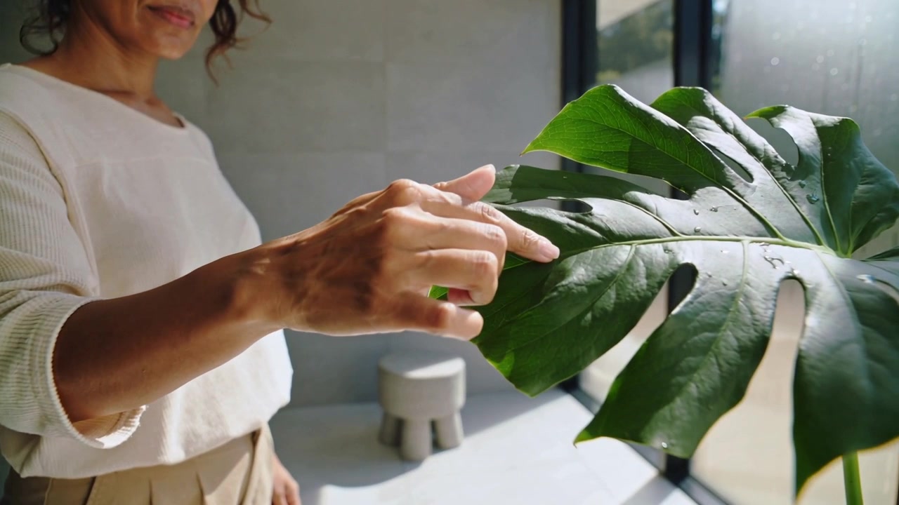 Vedendo goccioline, una donna con pantaloni color crema che traccia una vena di Monstera a una finestra piastrellata, la fotocamera che si chiude
