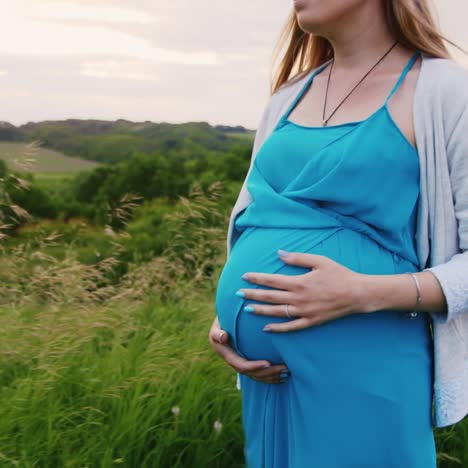 pregnant woman walks in a green meadow