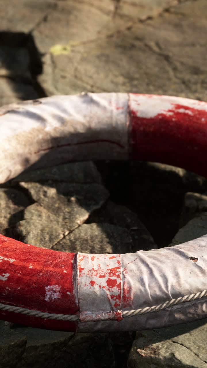 바위 위 에 있는 은 은 구명복 의 근접 사진
