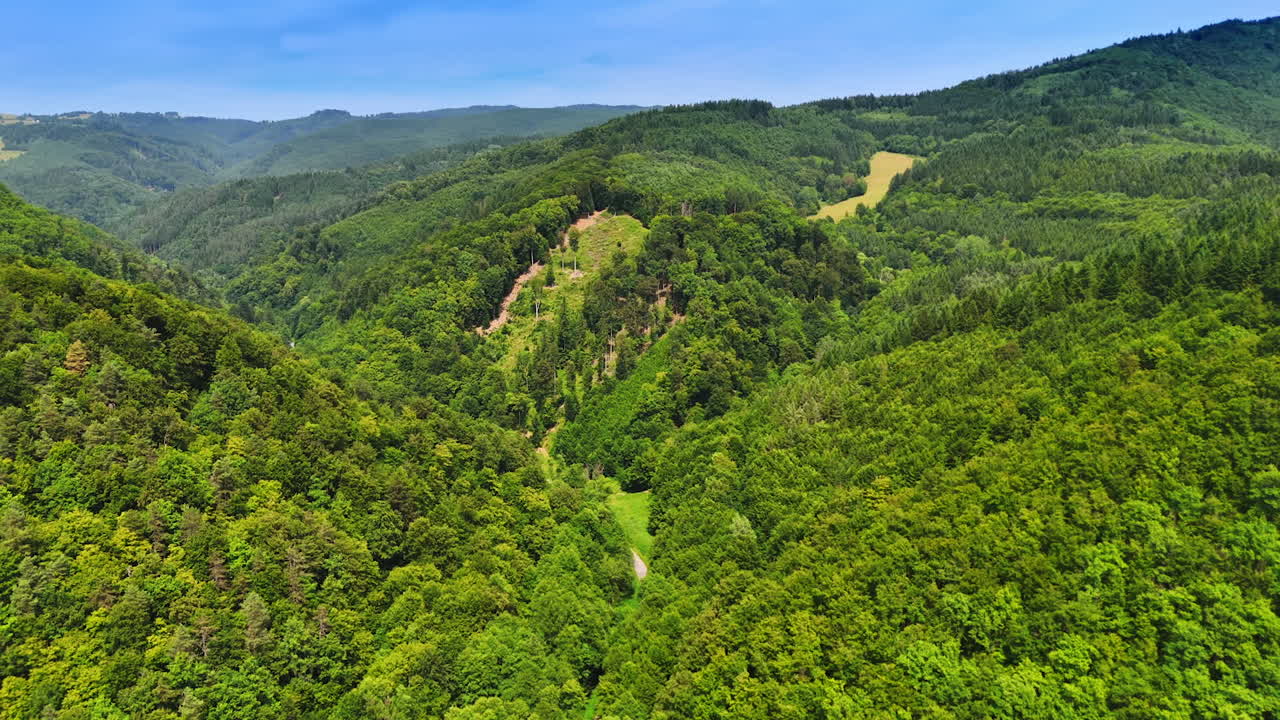 Rolling green hills landscape. Vibrant green hills stretch across the landscape, showcasing dense trees and a clear blue sky above