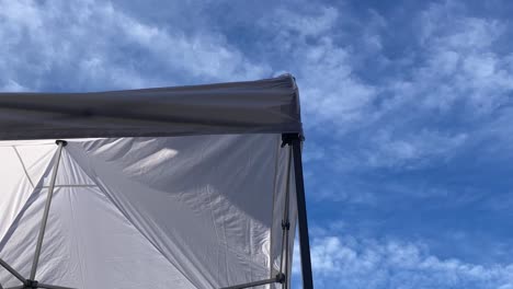 a canopy of clouds above a summer canopy providing outdoor shade