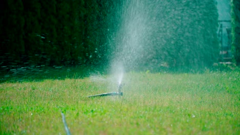 view of garden lawn sprinkler is watering grass, grass watering with sprinkler irrigation system working