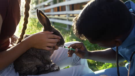granjero sosteniendo un conejo lindo al aire libre
