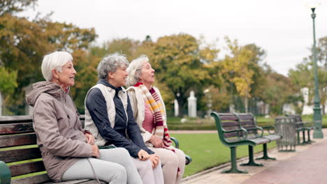 happy, senior friends and walking together