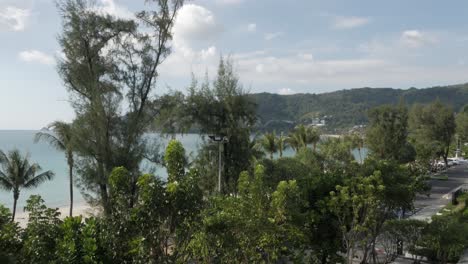 帕通海灘的空中景色, 有棕<unk>樹和綠色樹木, 在夏天白天有平靜的海景.