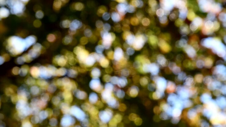 Sfondo astratto con foglie verdi sfocate e effetto bokeh.