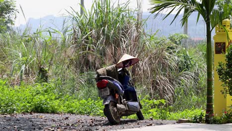 person riding motorbike in rural vietnam