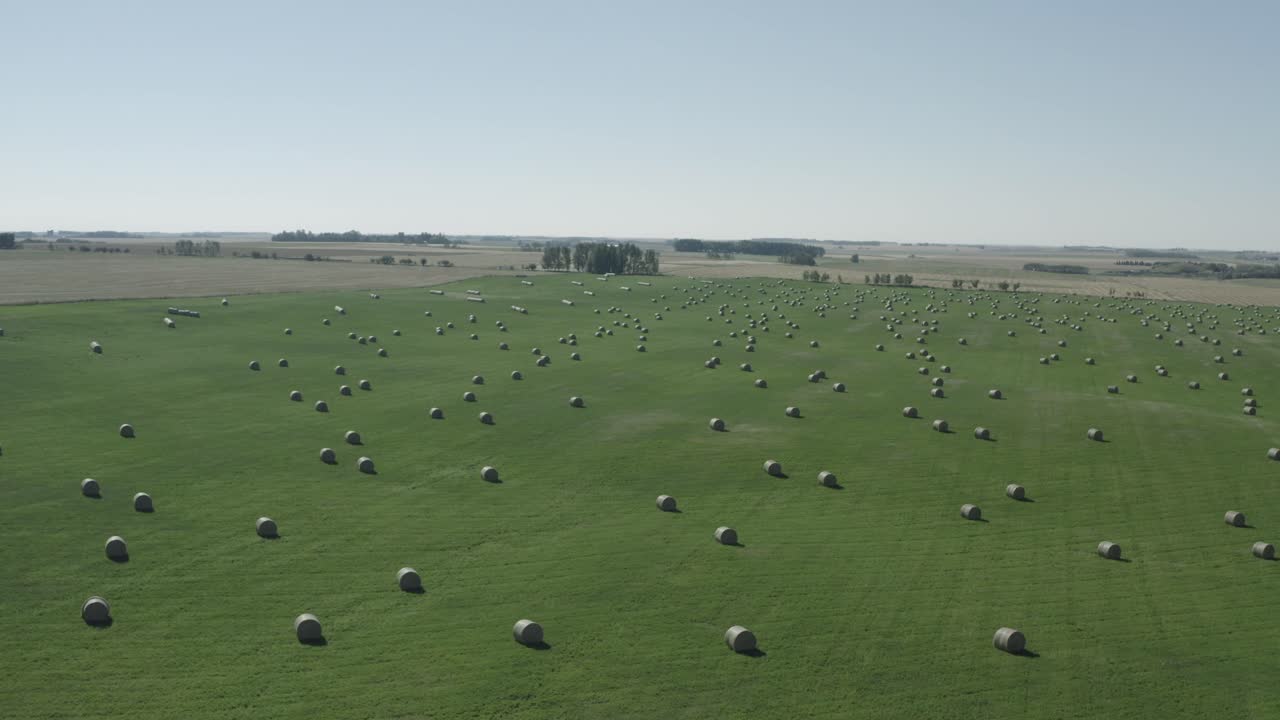 аэрофотосъемка пролетает над круглыми рулонами тюков сена, расположенными почти симметрично друг от друга на пышном зеленом перекати-поле фермы, примыкающем к золотистым лугам ферм по выращиванию ячменного зерна летом 3-3