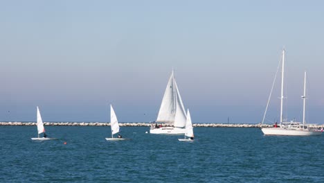 dinghy small sailboat regatta competition on windy sea, watersport team club