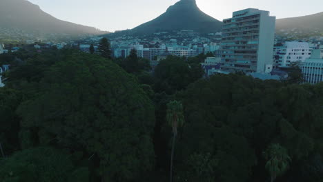 Forwards-fly-above-trees-in-Companys-Garden.-Tilt-up-reveal-city-borough-and-pointed-mountain.-Cape-Town,-South-Africa