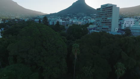 Los-Delanteros-Vuelan-Por-Encima-De-Los-árboles-En-El-Jardín-De-La-Empresa.-Inclinar-Hacia-Arriba-Revela-El-Distrito-De-La-Ciudad-Y-La-Montaña-Puntiaguda.-Ciudad-Del-Cabo,-Sudáfrica