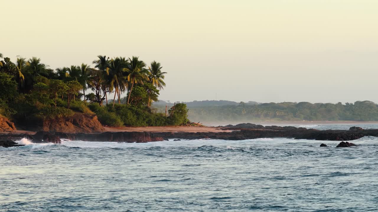 Spiaggia tropicale con palme e onde