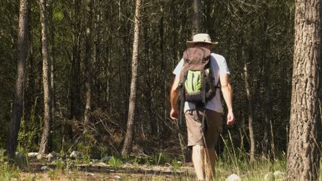 man in hiking gear and backpack walking on forest trail