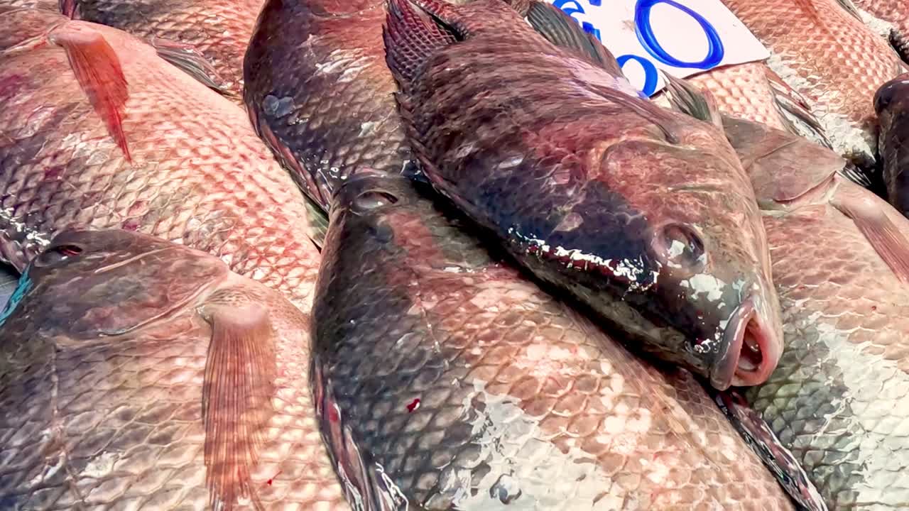 Detailed view of fish arranged on ice with visible price tags in a market setting.