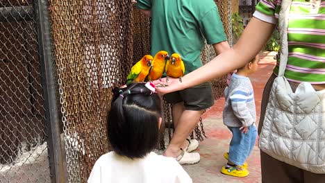 colorful birds perched on a child's head