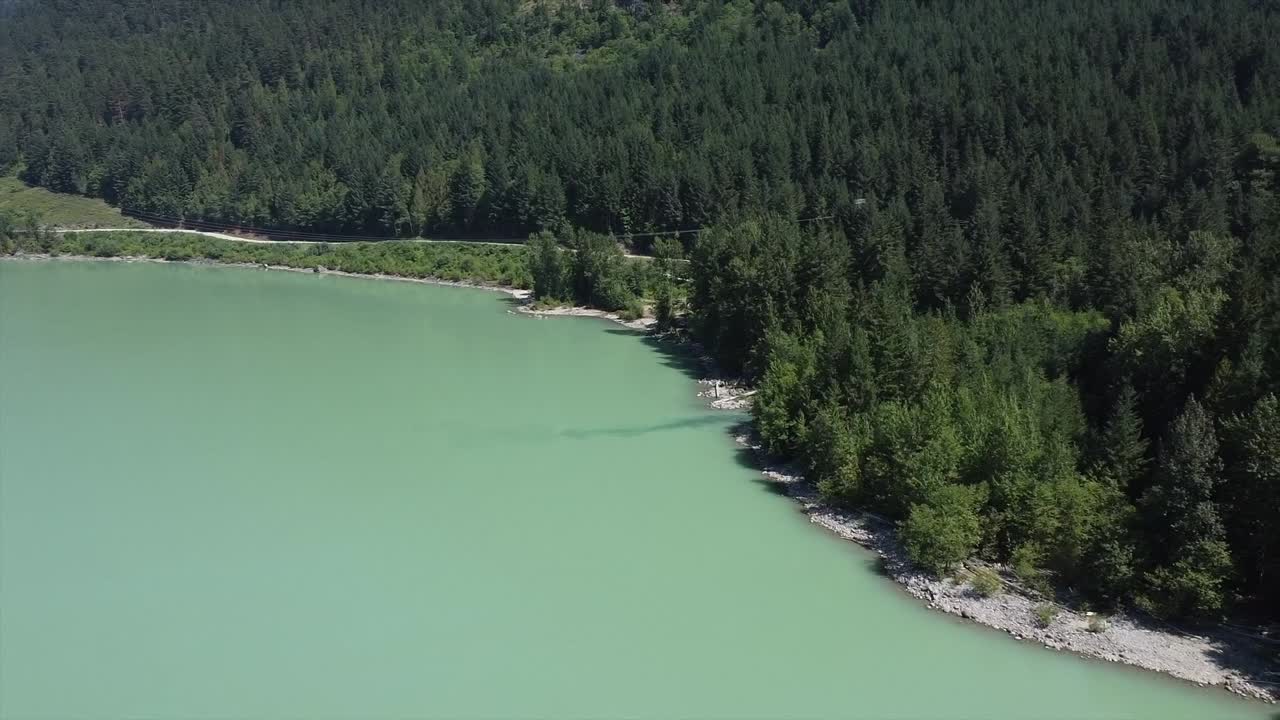 캐나다 브리티시 컬럼비아 의 스 ⁇ 미시-릴루트 에 있는 릴루트 호수 연안 에 있는 울창 한 소나무 들