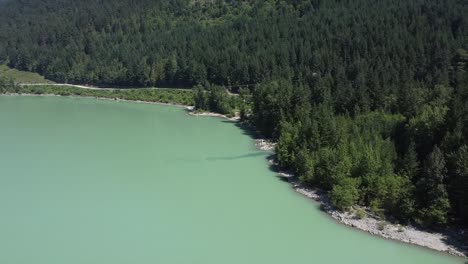 los pinos exuberantes en la orilla del lago de lillooet, squamish-lillooet, columbia británica, canadá