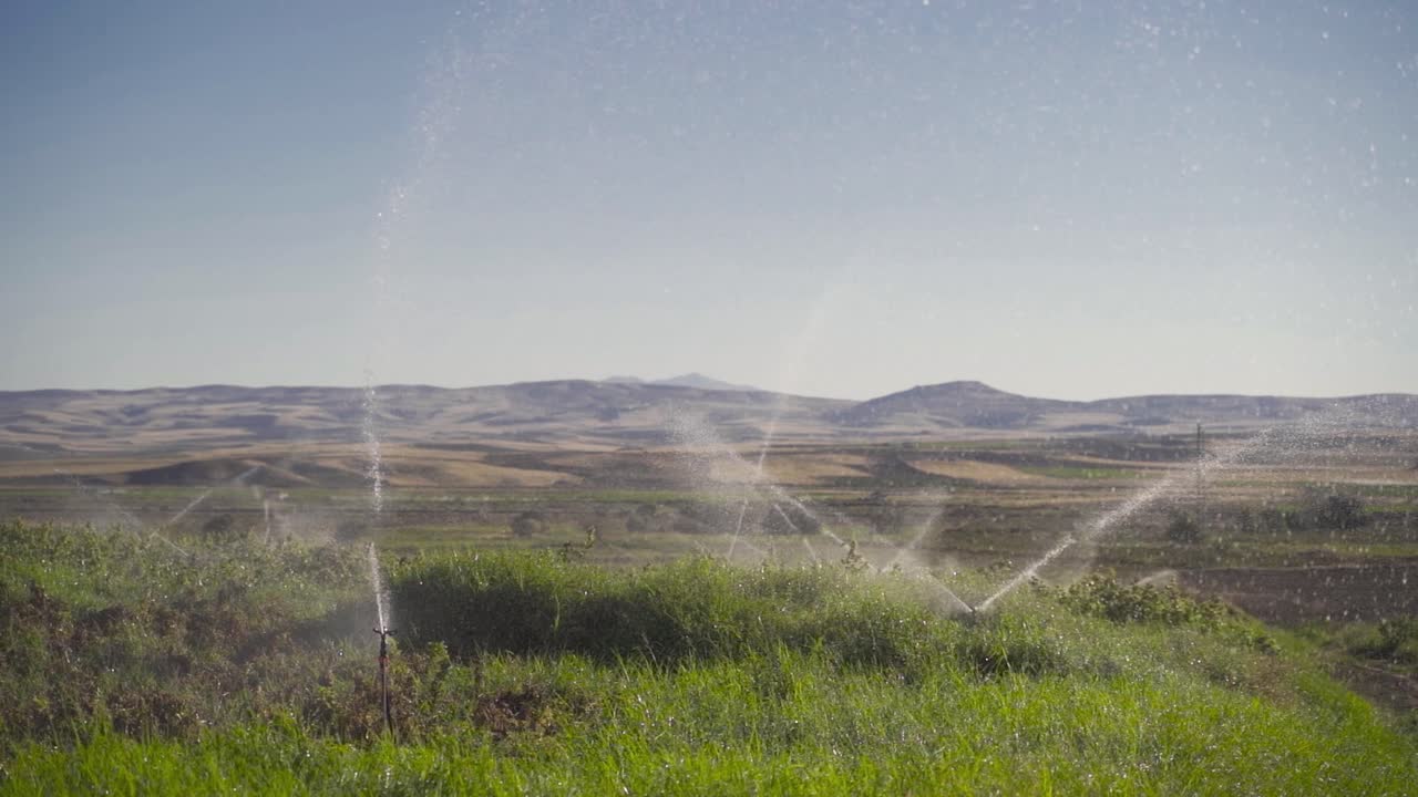 el riego para la agricultura. cámara lenta.