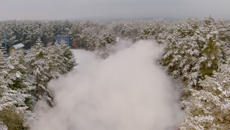 blurred thick clouds of smoke, daily forest. eruption, green pine forest