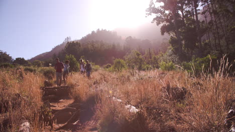 un grupo de amigos caminando juntos por el campo