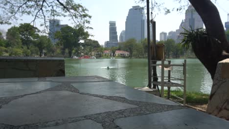 lumpini lake in tropical city park