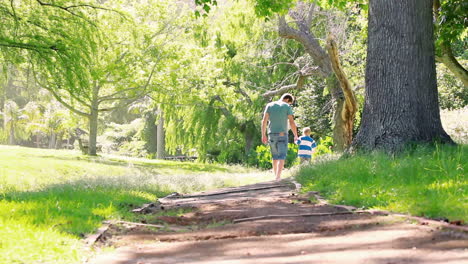 rear view of father and son walking