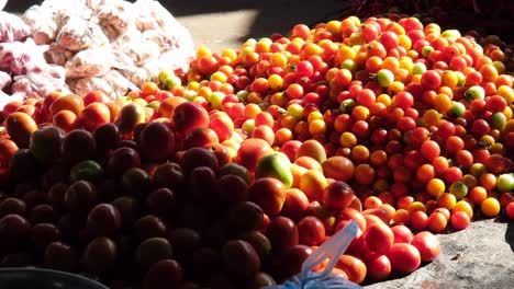 el sol está brillando en la montaña de tomates cereza mostrando sus colores vibrantes