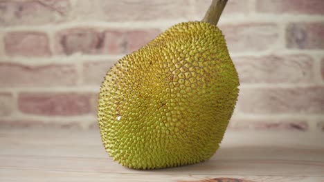 el fruto de la jaca
