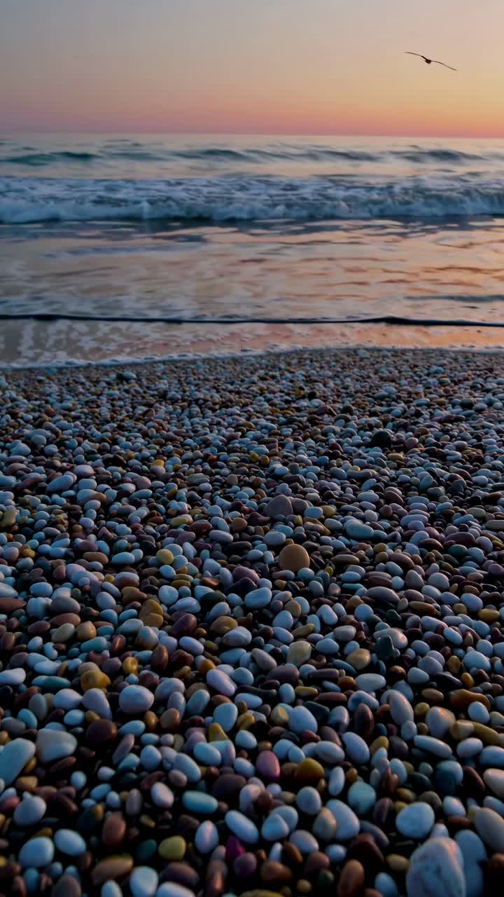 Una ripresa video dal basso di una spiaggia di ciottoli al tramonto, che cattura un sereno paesaggio marino con un uccello.