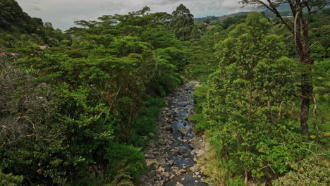 Los-Naranjos-Panama-Aerial-V1-Cinematic-Low-Level-Fly-Durch-Die-Baumkronen-Des-Dschungels,-Dem-Wasserfluss-Des-Flusses-Palo-Alto-Folgend,-Um-Die-Wunderschöne-Naturlandschaft-Einzufangen-–-Aufgenommen-Mit-Mavic-3-Cine-–-April-2022