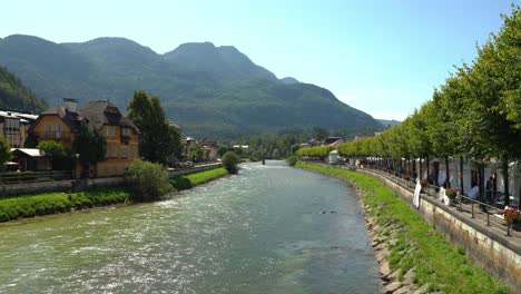 bird flying above river traun in spa town bad ischl