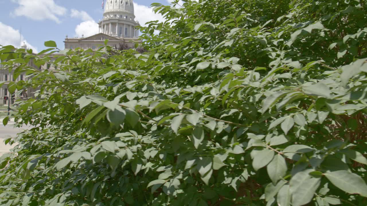 Michigan State Capitol Building with Street View and Traffic