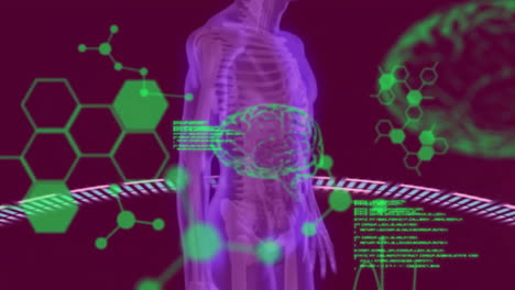 animación del procesamiento de datos científicos sobre el cuerpo humano