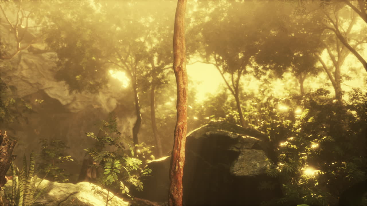 빛의 광선과 함께 녹색 숲