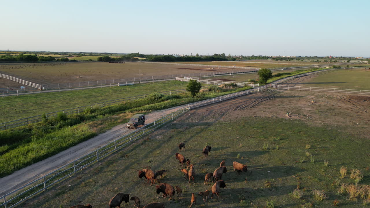 granja de bisontes en europa vista desde el aire