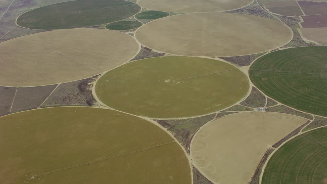 둥근 작물 원의 공중 사진