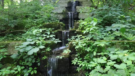 Blick-Auf-Das-Wasser,-Das-In-Einen-Teich-Fällt,-Der-Von-üppigem-Und-Dichtem-Grün-Umgeben-Ist,-Bei-Paul-E.