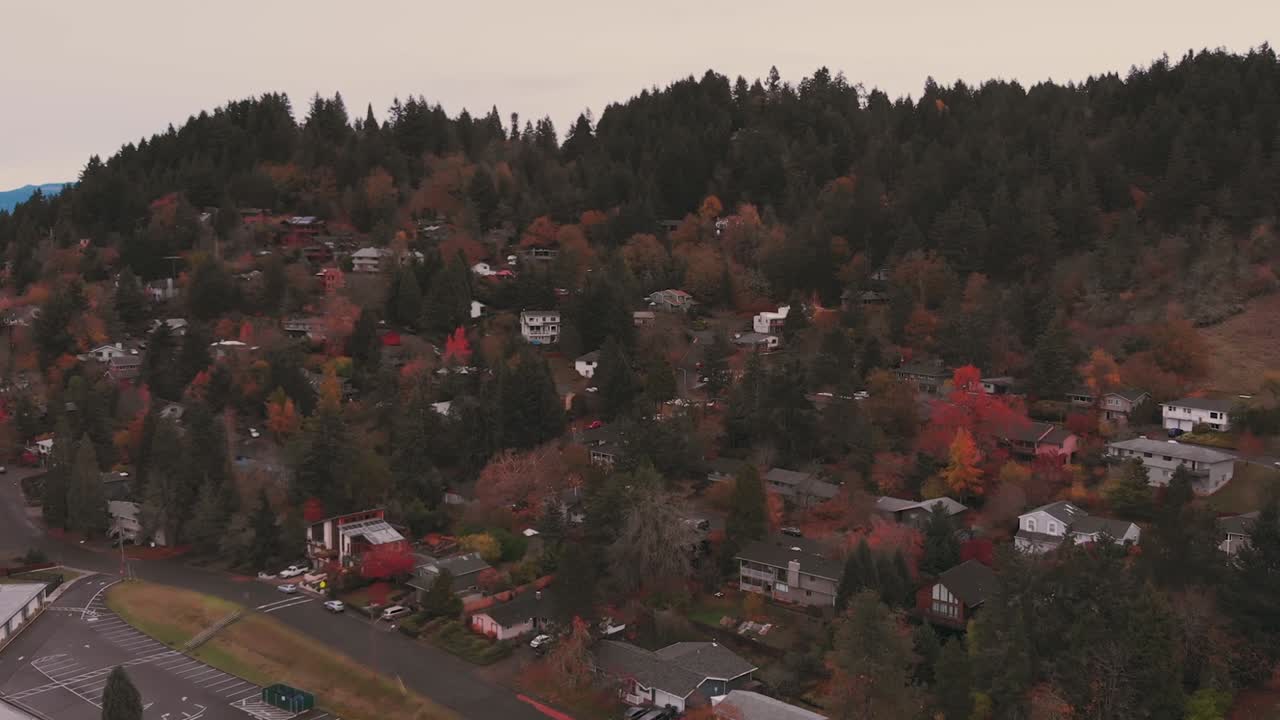 suaves tomas de cardán de los árboles verdes