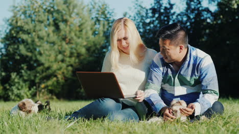 pareja con laptop y cachorros en el patio trasero