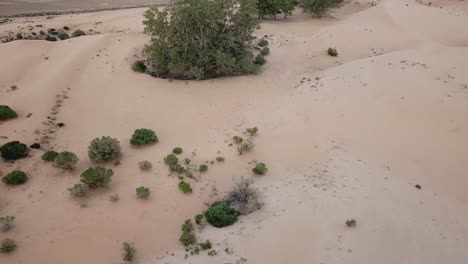 Outdoor-nature-drone-aerial-pan-down-sand-hills-australia-outback