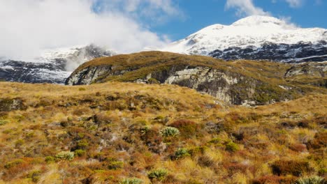 panorama shot of beautiful dried plants on hill in rees valley and snowy mountains in background