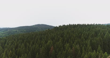 Aerial-Shot-Of-Woods-Forest-Nature-Landscape-5